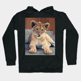 Lion Cub Hoodie